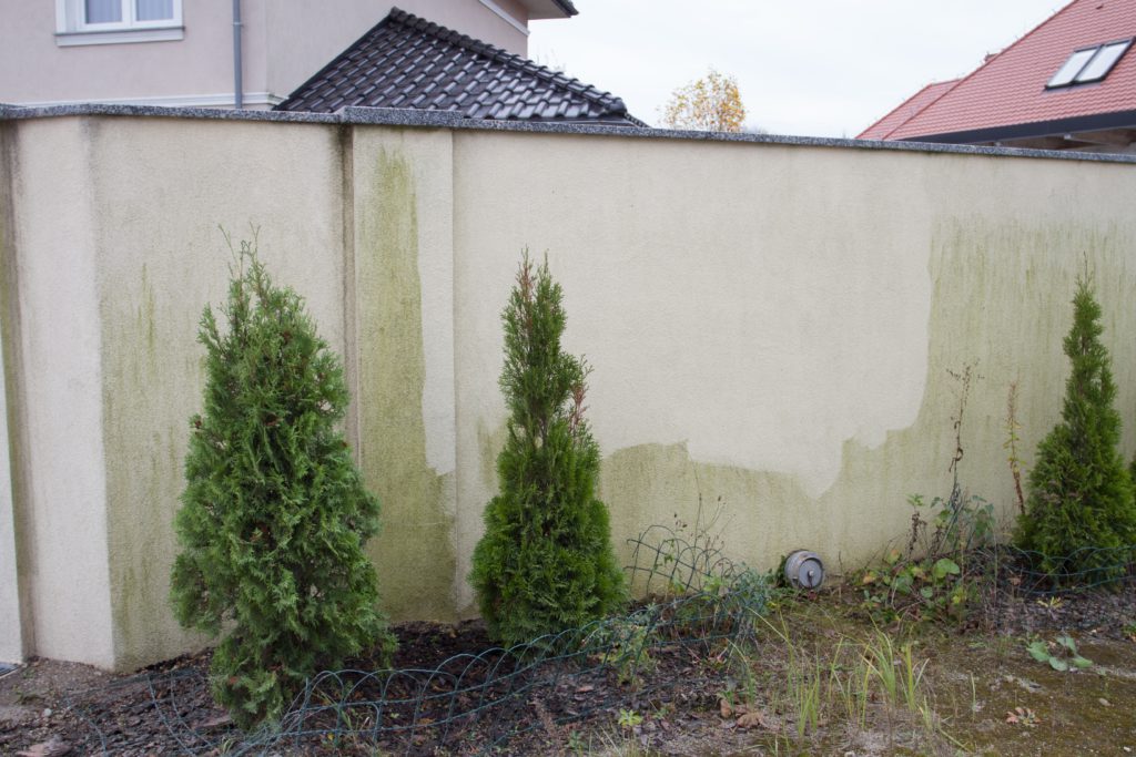 Czyszczenie fasad we Wrocławiu – przywrócimy blask Twojemu budynkowi
