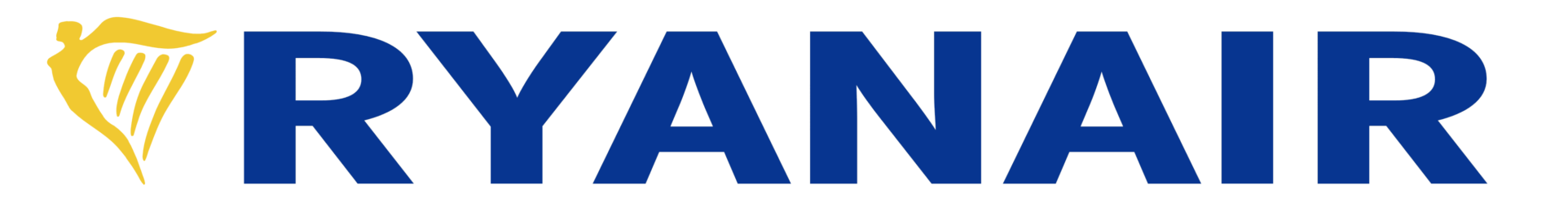 Logo klienta